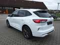 Ford Kuga Plug-In Hybrid ST-Line X Blanc - thumbnail 2