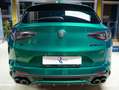 Alfa Romeo Stelvio Stelvio 2023 2.9 V6 Quadrifoglio Q4 520cv auto - thumbnail 13