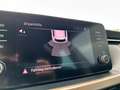 Skoda Kamiq Style TSI EU6d-T STY TS70 1.0 M5F LED /DAB/ Apple Braun - thumbnail 19