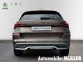 Skoda Kamiq Style TSI EU6d-T STY TS70 1.0 M5F LED /DAB/ Apple Braun - thumbnail 4
