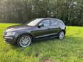 Audi SQ5 SQ5 3.0 TDI quattro tiptronic plus Grau - thumbnail 6
