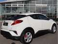 Toyota C-HR HYBRID FLOW/SCHECKHEFT BEI TOYOTA/KAMERA Blanco - thumbnail 4