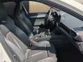 CUPRA Formentor 2.0 TDI ACC LED PANO AHK NAVI SHZ Weiß - thumbnail 20