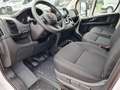 Fiat Ducato 35 Kasten Doka 7-Sitze 2x Schiebetür Maxi Weiß - thumbnail 8
