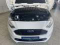 Ford Tourneo Connect 1.5TDCi Grand Titanium S/S EcoBlue Bianco - thumbnail 11