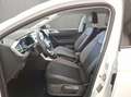 Volkswagen Polo Goal 1,0 l TSI OPF 85 kW (116 PS) 7 -Gang-D Weiß - thumbnail 9