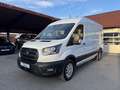 Ford Transit Kasten 350 L3 Trend Weiß - thumbnail 1