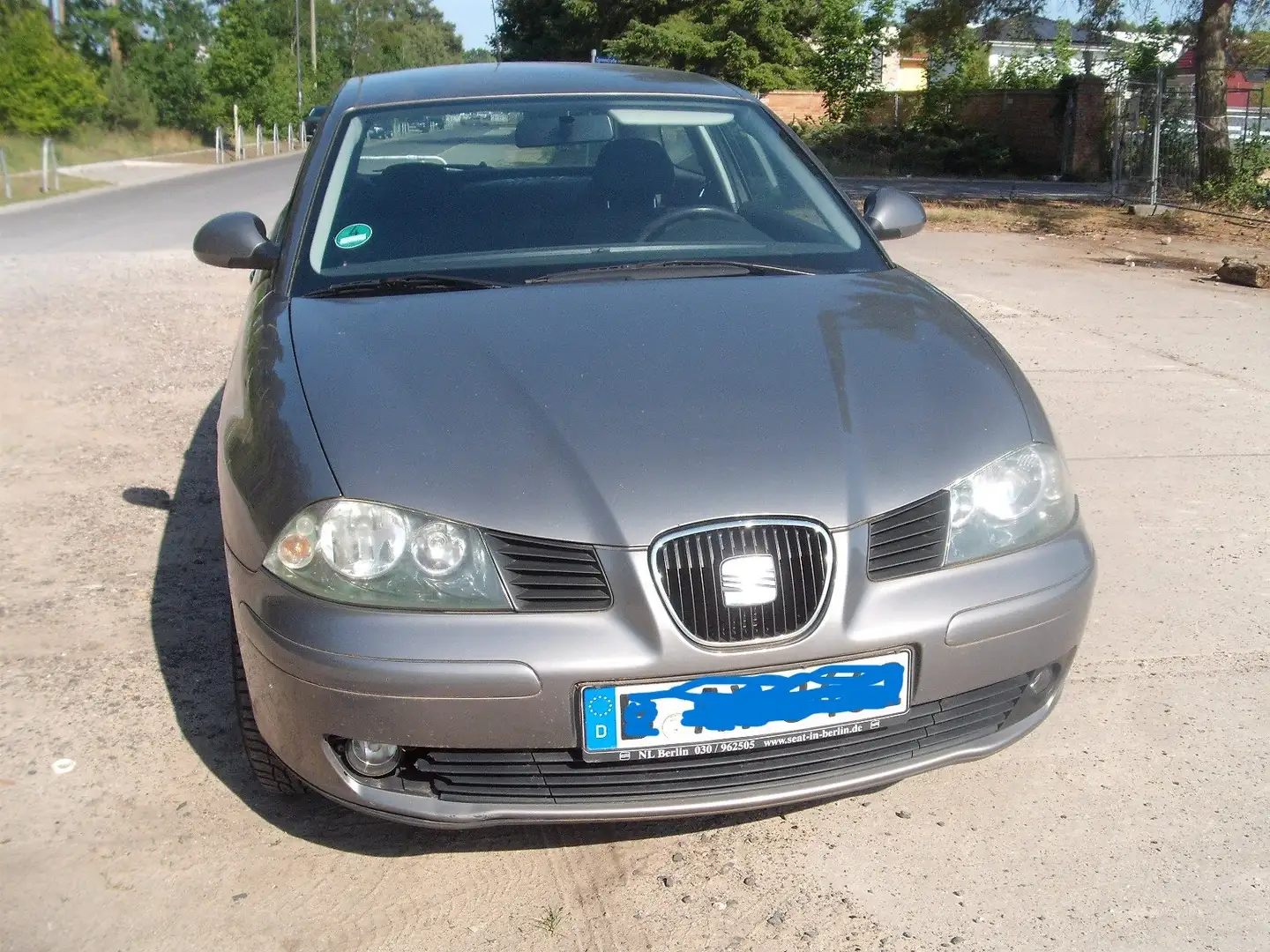 SEAT Ibiza Stella Gris - 1