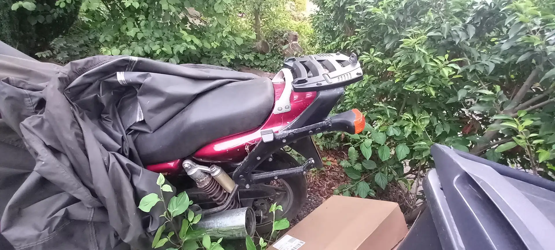 Honda CB 750 Rouge - 2