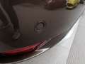Dacia Sandero STEPWAY 0.9 TCe 12V 90cv START & STOP Marrón - thumbnail 17