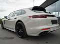 Porsche Panamera 4 e-Hybrid Panorama Camera 21" Blackpack Ambiance Білий - thumbnail 12