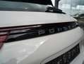 Porsche Panamera 4 e-Hybrid Panorama Camera 21" Blackpack Ambiance Білий - thumbnail 10
