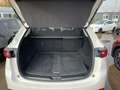 Mazda CX-5 SKYACTIV-G 194 AWD AT Sportsline Wit - thumbnail 17