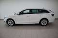 Skoda Octavia Style TDI Weiß - thumbnail 3
