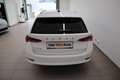 Skoda Octavia Style TDI Weiß - thumbnail 6