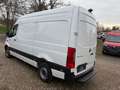 Mercedes-Benz Sprinter L2 RWD 317/Kamera ohne Schäden Blanco - thumbnail 6