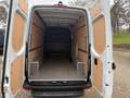 Mercedes-Benz Sprinter L2 RWD 317/Kamera ohne Schäden Blanco - thumbnail 11