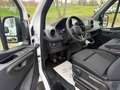 Mercedes-Benz Sprinter L2 RWD 317/Kamera ohne Schäden Blanco - thumbnail 7