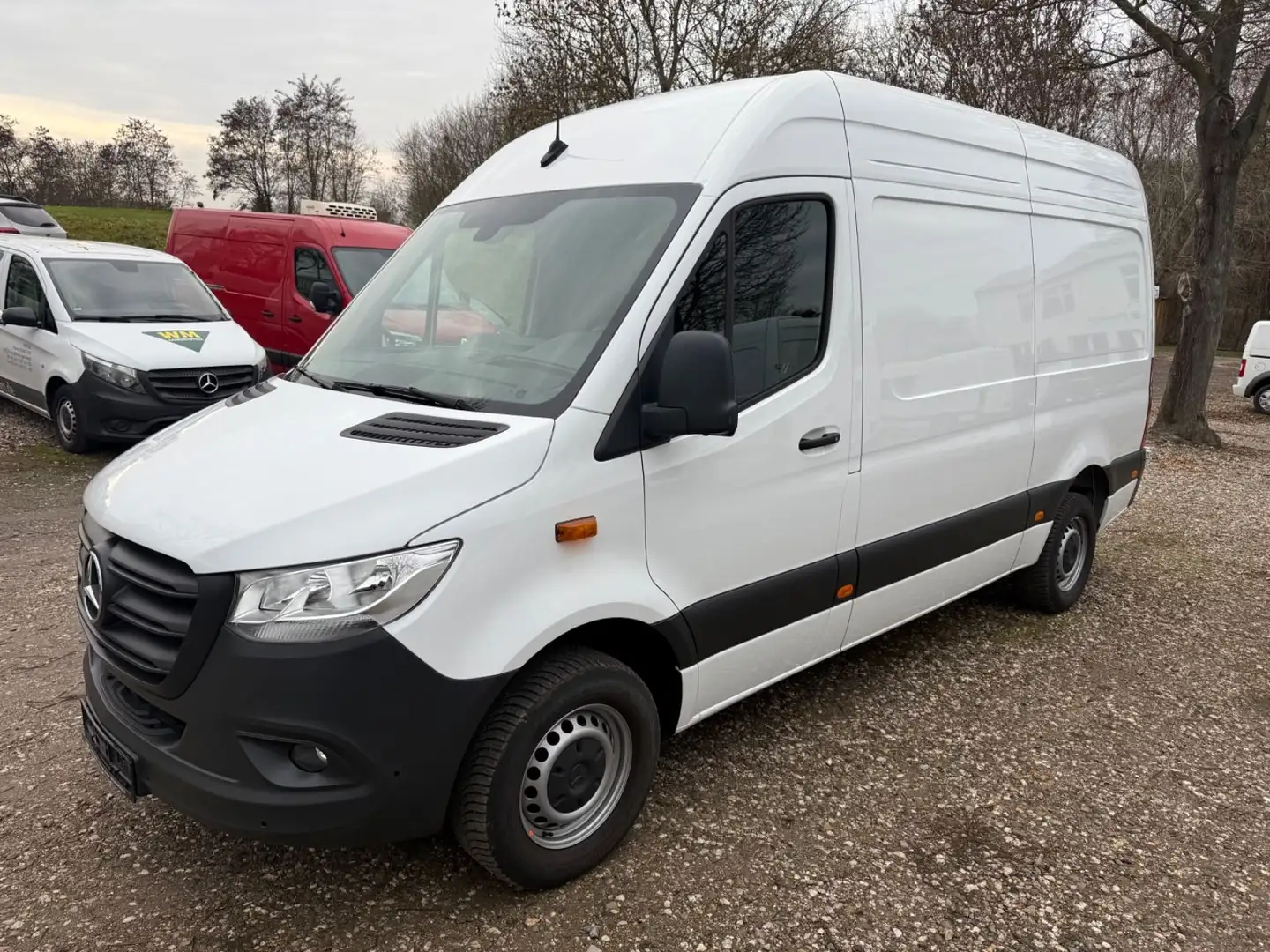 Mercedes-Benz Sprinter L2 RWD 317/Kamera ohne Schäden Blanco - 1