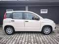 Fiat Panda FIAT PANDA 1,2 BENZ –LOUNGE –KM 68000- EURO 6- Beige - thumbnail 24