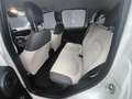 Fiat Panda FIAT PANDA 1,2 BENZ –LOUNGE –KM 68000- EURO 6- Beige - thumbnail 15