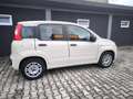 Fiat Panda FIAT PANDA 1,2 BENZ –LOUNGE –KM 68000- EURO 6- Beige - thumbnail 25