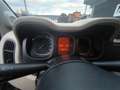 Fiat Panda FIAT PANDA 1,2 BENZ –LOUNGE –KM 68000- EURO 6- Beige - thumbnail 19