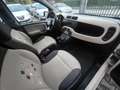 Fiat Panda FIAT PANDA 1,2 BENZ –LOUNGE –KM 68000- EURO 6- Beige - thumbnail 11