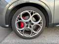 Alfa Romeo Tonale 1.5 130CV MHEV DDCT7 Ed. Speciale Gris - thumbnail 10