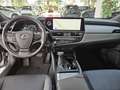 Lexus ES 300 h Business Line Leder Schiebedach Navi ele Argent - thumbnail 10