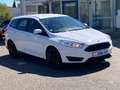Ford Focus Business Edition Winter-Paket Weiß - thumbnail 7