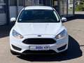Ford Focus Business Edition Winter-Paket Weiß - thumbnail 8