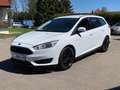 Ford Focus Business Edition Winter-Paket Weiß - thumbnail 9
