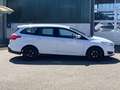 Ford Focus Business Edition Winter-Paket Weiß - thumbnail 6