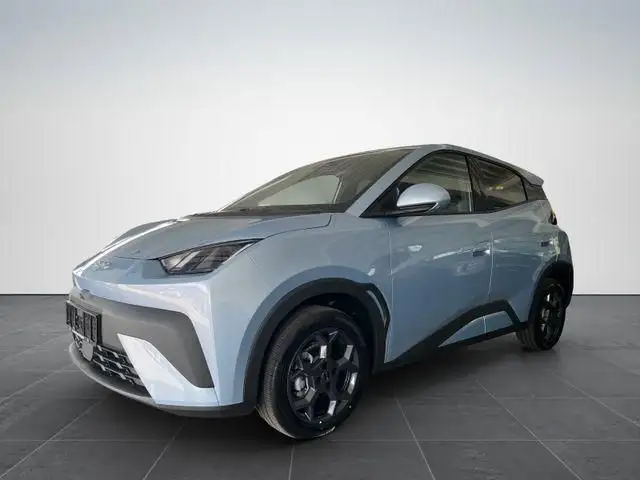 BYD Dolphin Surf