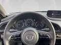 Mazda CX-30 e-Skyactive G140 Prime-Line Aut. Grau - thumbnail 15