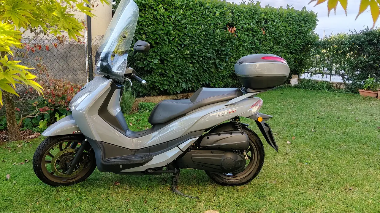 Sym HD 300