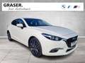 Mazda 3 SKYACTIV-G 120 CENTER-LINE NAVI Bianco - thumbnail 7