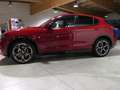 Alfa Romeo Stelvio 2.0 Turbo 280 CV AT8 Q4 Veloce - thumbnail 3