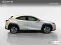 Lexus UX 300e Business City - thumbnail 15