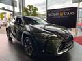 Lexus 250 h Style Edition RFK Full Link LED AHK Verde - thumbnail 1
