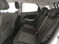 Ford EcoSport 1.5 tdci Titanium s&s 100cv Bianco - thumbnail 7