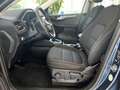 Ford Kuga Titanium+NAV+DAB+PDC+KeyFree+RFK+WinterPak+ Azul - thumbnail 13