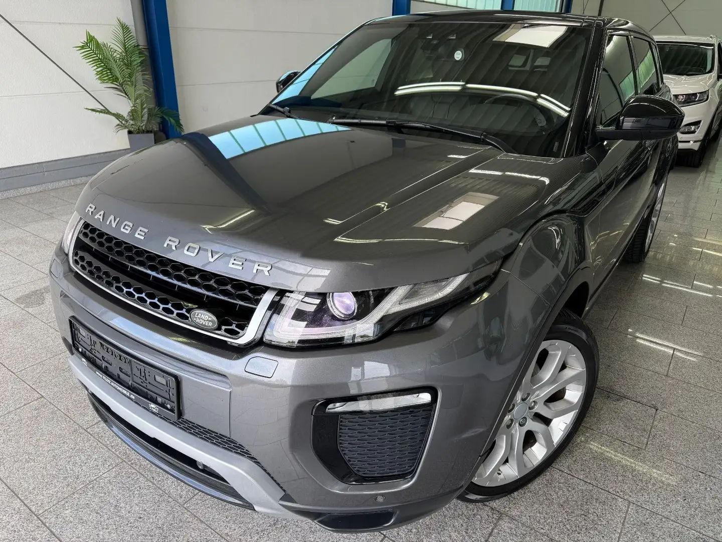 Land Rover Range Rover Evoque Evoque 2.0 Sd4*SE DYNAMIC*PANO*BI-XN*RFK*NAV*MMR Grau - 1