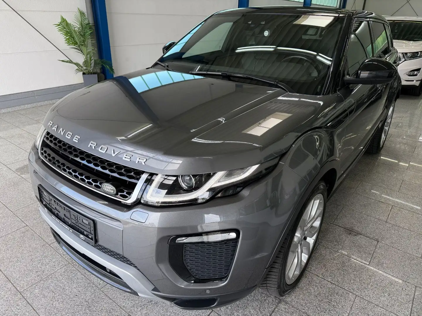 Land Rover Range Rover Evoque Evoque 2.0 Sd4*SE DYNAMIC*PANO*BI-XN*RFK*NAV*MMR Grau - 2