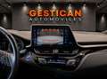 Toyota C-HR 125H Advance Gris - thumbnail 13