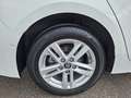 Toyota Corolla Dynamic Blanc - thumbnail 29