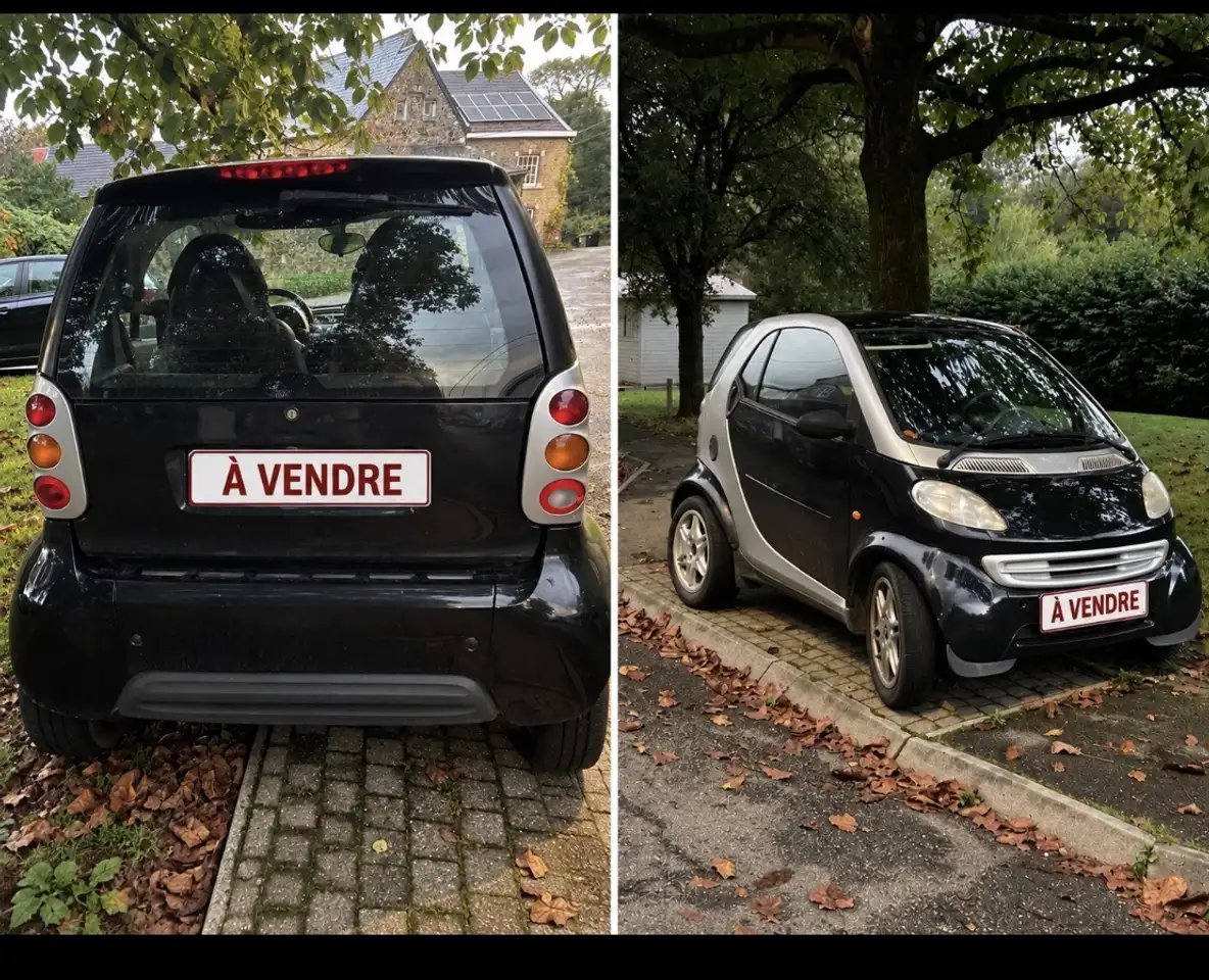 smart forTwo, foto 1