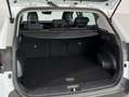 Kia Sportage 1.6 T-GDi HEV 158kW (215CV) Drive 4x2 Blanco - thumbnail 6