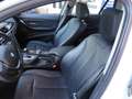 BMW 318 318 d Automatik/Bi-Xenon/Leder/PanoDach/Navi Blanco - thumbnail 13